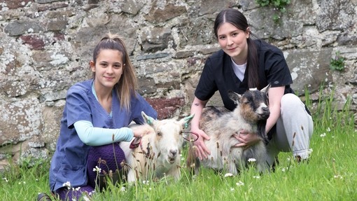 Two students in scrubs crouching next to some goats.