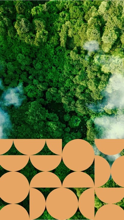 Orange Circles on forest hero image