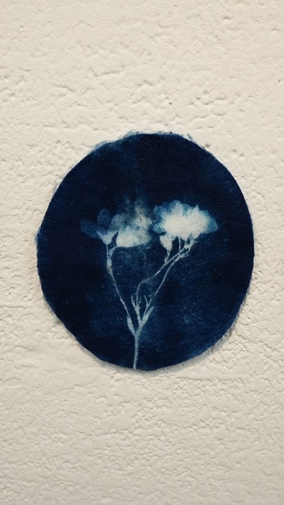 Access to HE work a close up of three dark blue circles with white natural/leaf-like forms on each