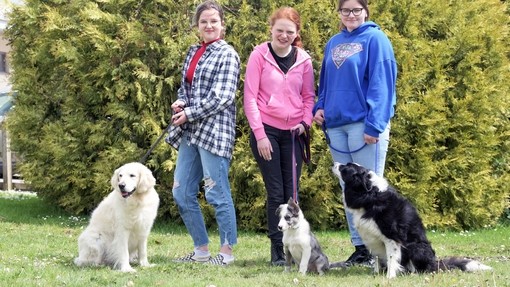 three students with three dogs sat in front of them