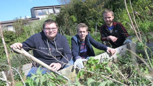 3 boys crouched next to a raised garden