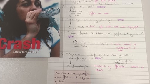 A piece of Alisha's work and a picture of someone singing into a mic