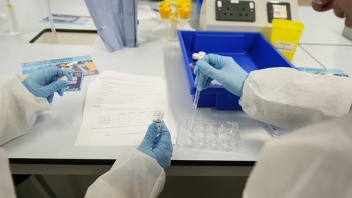 Close up of glove-up hands using pipettes and liquid