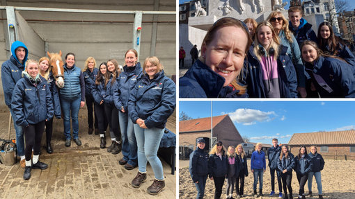 Equine Learners Gain Unforgettable Experience in Holland