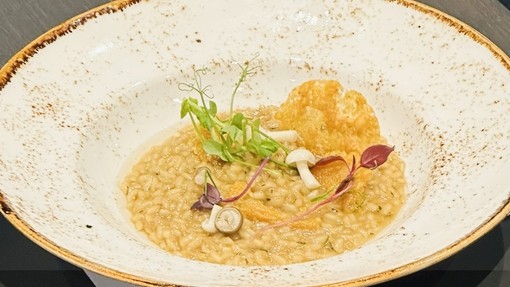 Harry's risotto with green and mushroom cap garnish