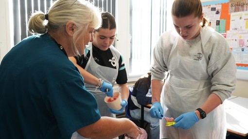 Students practising dentistry impressions