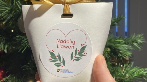 a hand holding the bag with the biscuits it has a yellow ribbon holding it together and it says nadolig llawen with the college logo