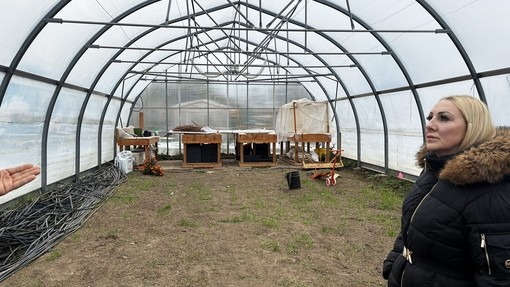 Staff in a polytunnel