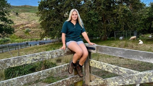 Ellie sitting perched on a fence with trees behind her and blue skies