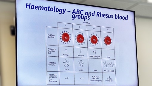 A screen with descriptions of blood types 