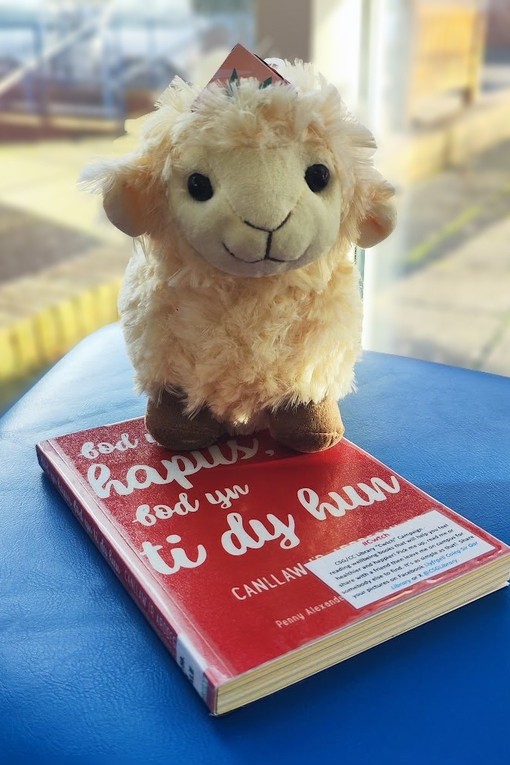 A toy sheep sitting on a Welsh book
