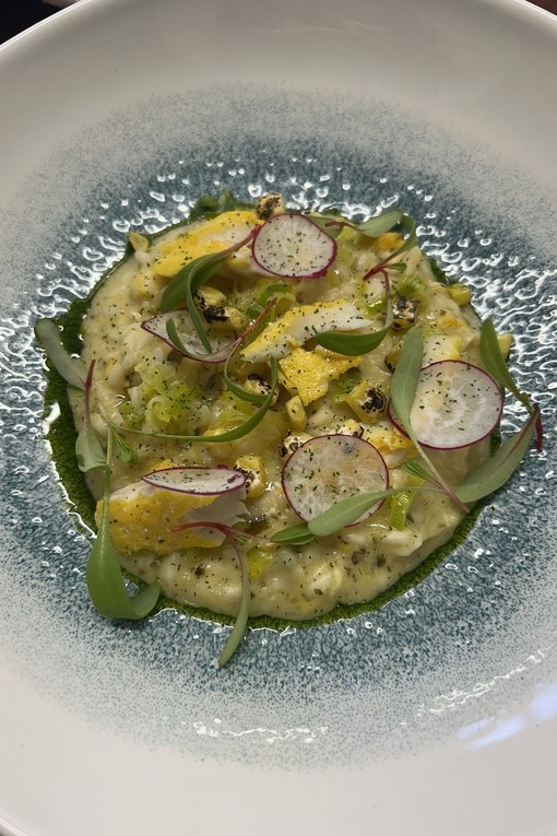 A risotto dish by one of the students presented nicely on a white dish with a blue tint