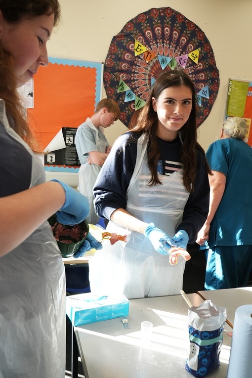 A student looking at the camera as she practices dentistry impressions