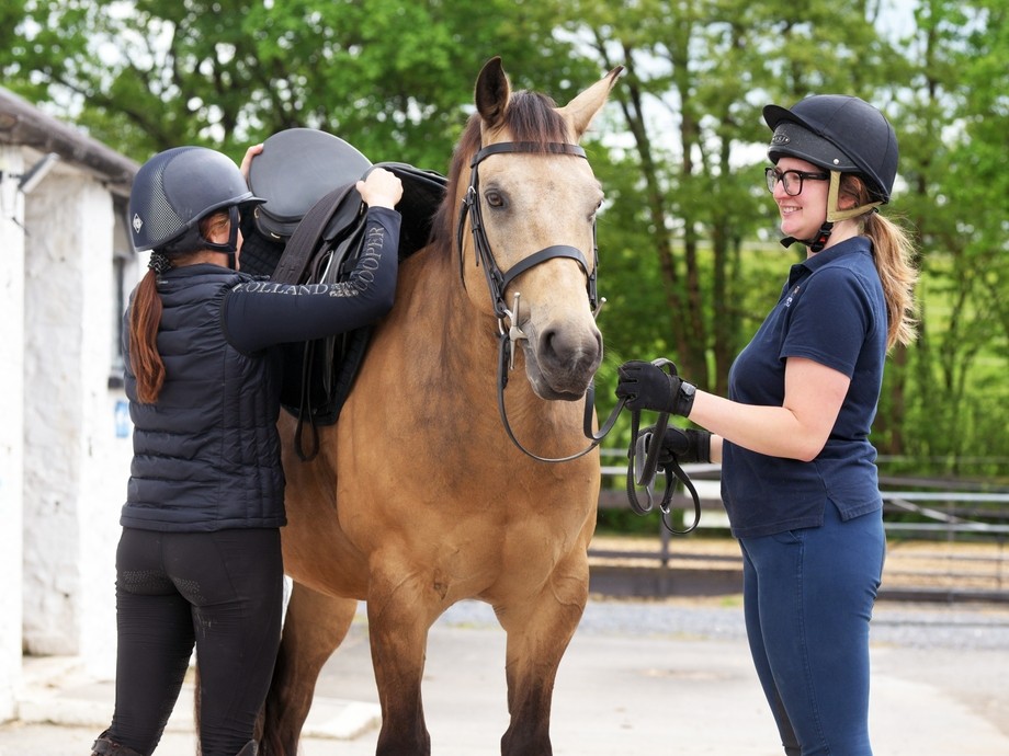Two students looking after a horse.