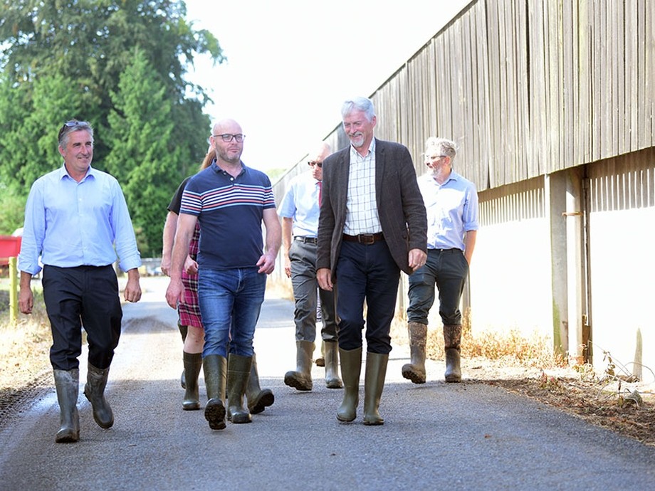 The group walking on the farm