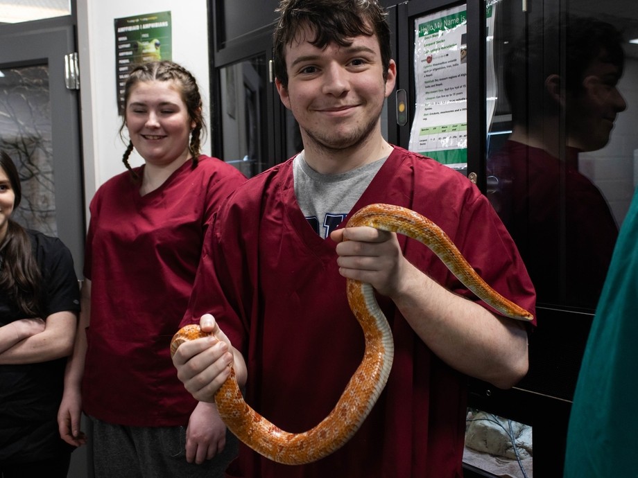 A student in maroon scrubs holding a snake