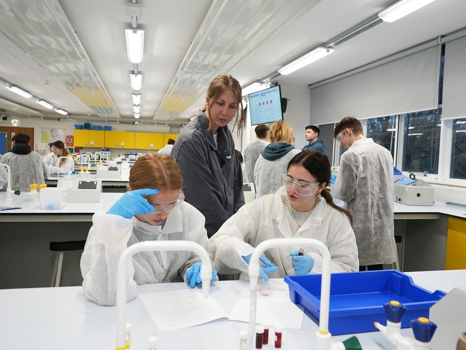 Students working in the uni lab with Dr April Rees 2024
