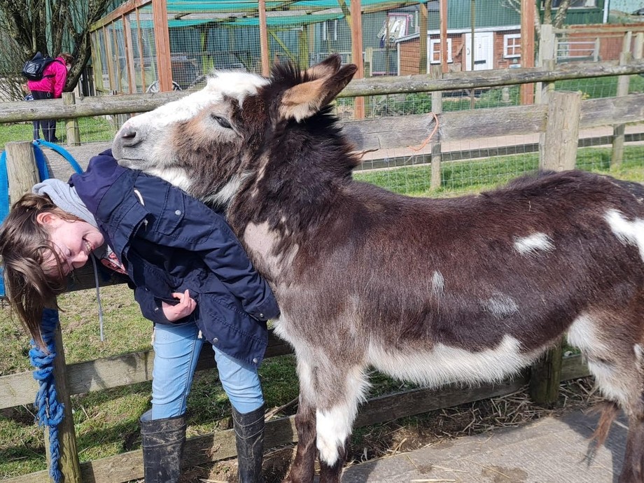 Laura bending with an affectionate donkey getting close