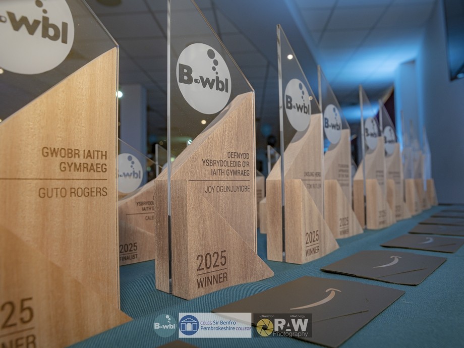 A row of BWBL awards