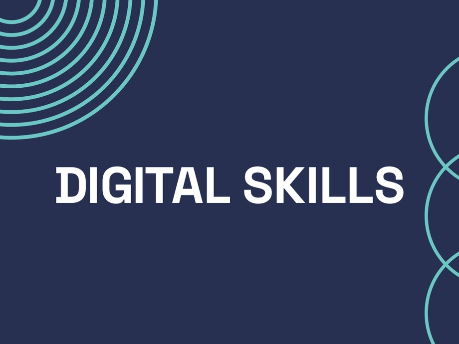 Digital Skills Logo