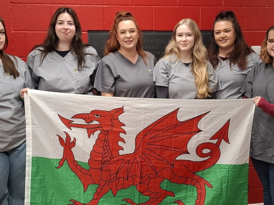 Six students standing in line with a red background holding a Welsh flag