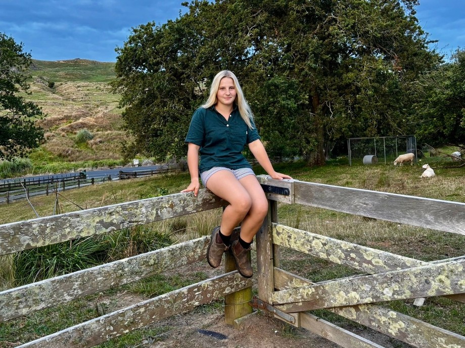 Ellie sitting perched on a fence with trees behind her and blue skies