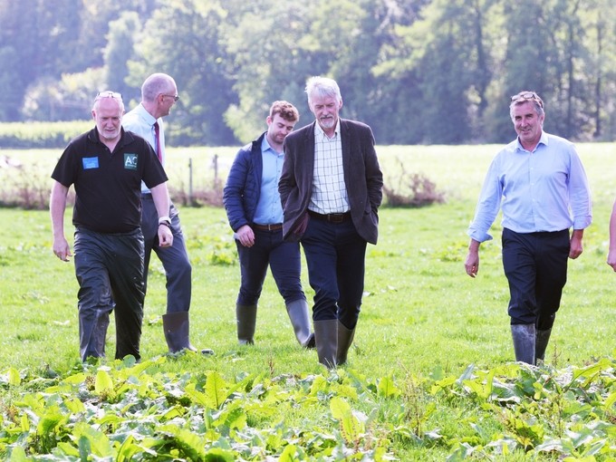 The group walking on the farm