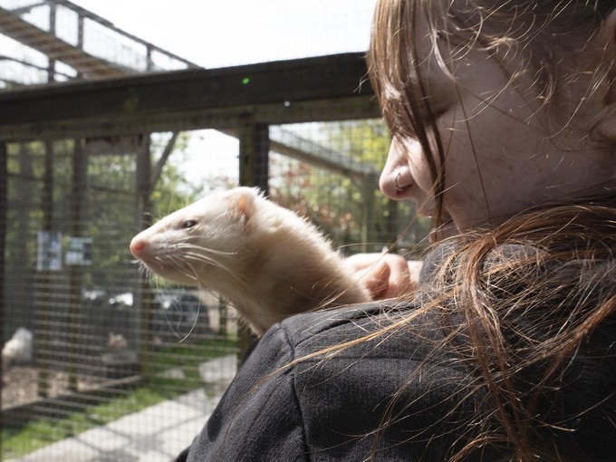 A student with a ferret