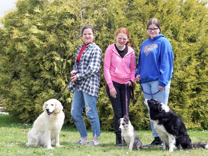 three students with three dogs sat in front of them