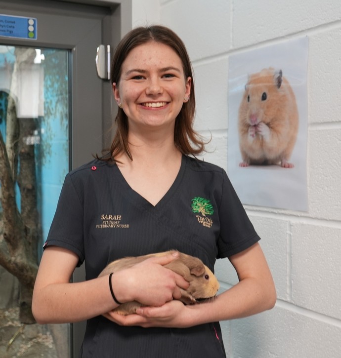 Sarah holding a Guinea pig in her vet uniform