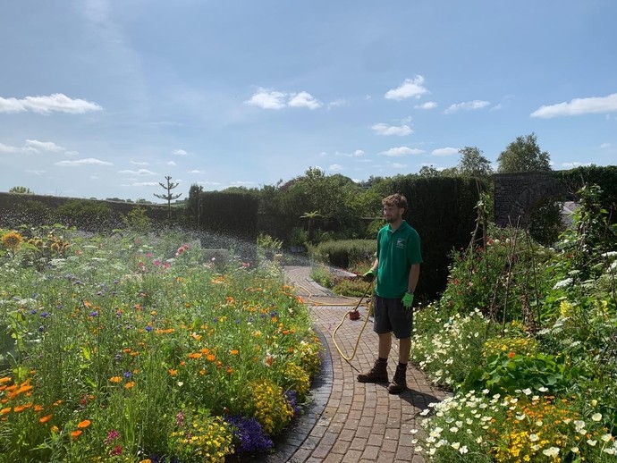 Tom in a green top, it's a nice day, on a path watering with a pipe some plants 