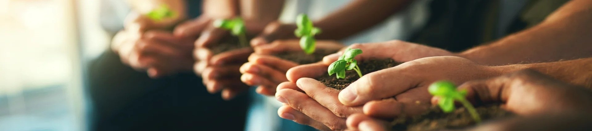 Group of people standing in a half circle, their hands are cupped together infront of them, each of their hands are filled with soil and a plant