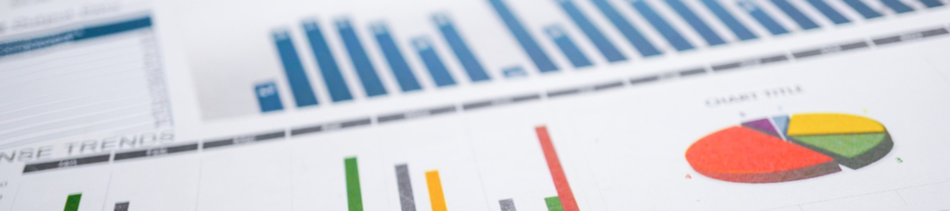 Various graphs and pie charts created from an Excel Spreadsheet
