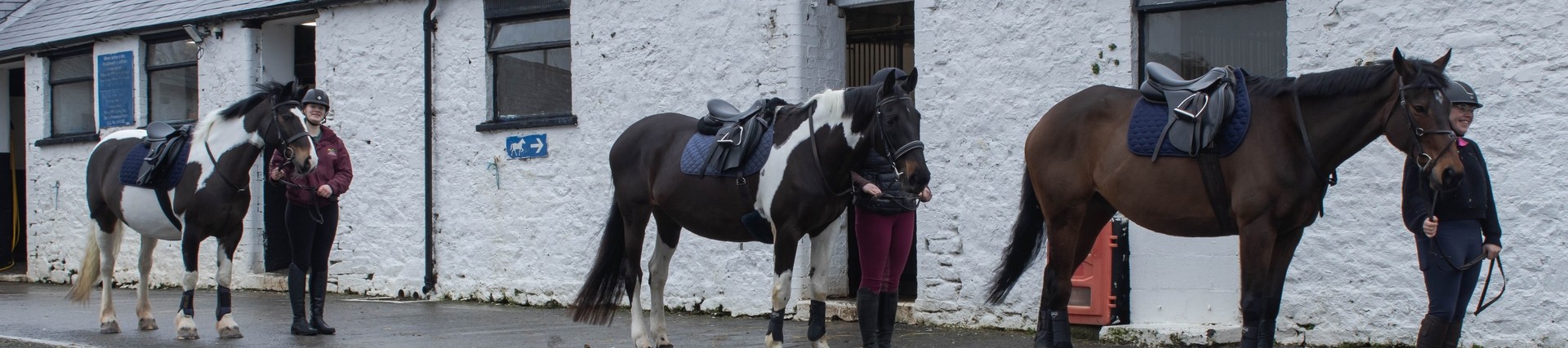 three female equine students walking with a horse each