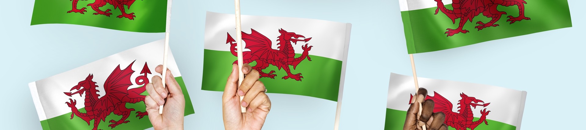 6 hands reaching up holding welsh flags