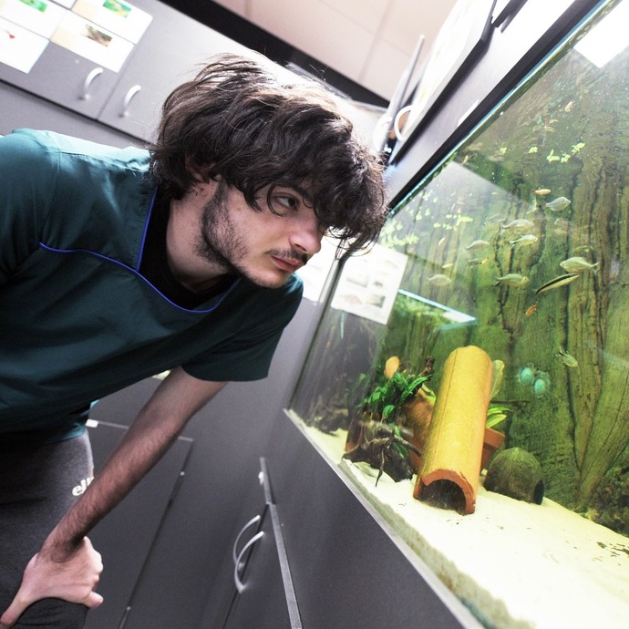 A student looking into a fish tank.