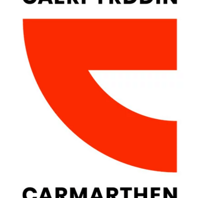 Carmarthen school of art logo