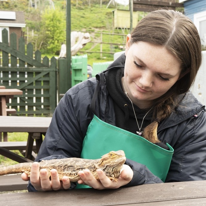 A student in a green apron holding a reptile at the zoo