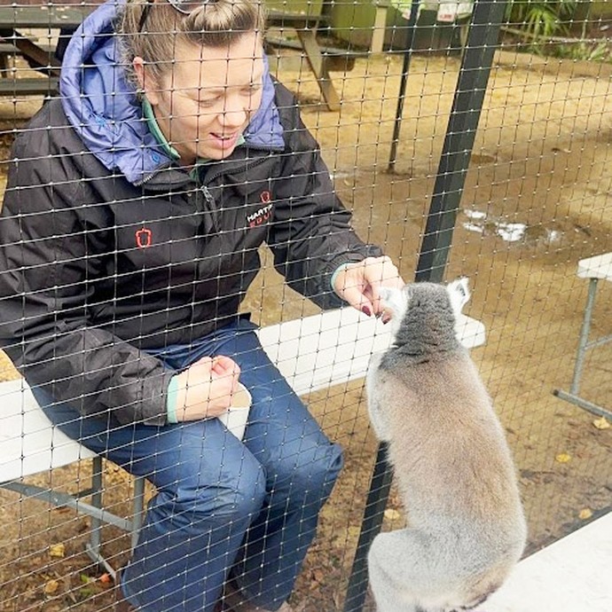 Feeding an animal