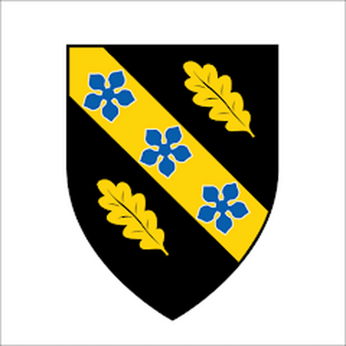 college app logo