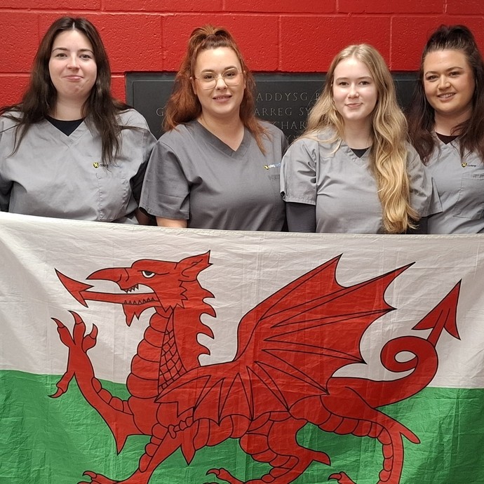 Six students standing in line with a red background holding a Welsh flag